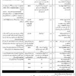 China Pakistan Economics Corridor Jobs 2020 latest Advertisement