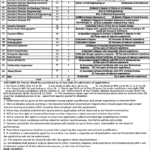 Walled City Jobs 2020 Latest Advertisement