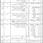 Pakistan Mint Department Jobs 2020 latest Advertisement