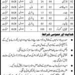 Municipal Committee Jobs 2020 latest Advertisement