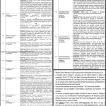 Benazir Income Support Jobs 2023 latest Advertisement