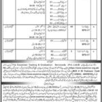 Levies Force in Lower Chitral Examiner Jobs 2022 latest Advertisement