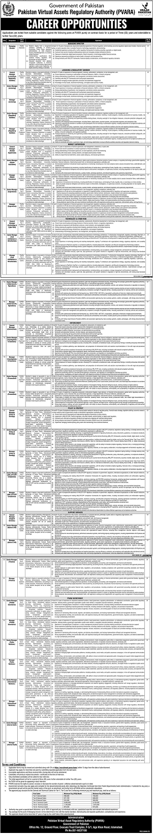  Pakistan Virtual Assets Regulatory Authority jobs
